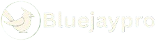 bluejaypro_logo-removebg-preview